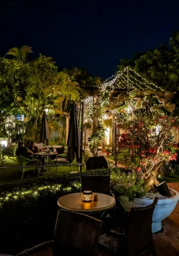 Imagen del exterior del restaurante Mesón de la Cava durante la noche, con mesas y sillas dispuestas en un jardín exuberante. Luces colgantes iluminan suavemente el entorno, creando un ambiente acogedor y romántico. Varias personas disfrutan de su tiempo en el restaurante rodeado de abundante vegetación.